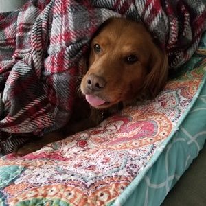 Meet your Posher, Ruth